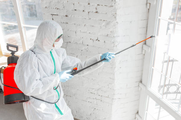 Best Mold Removal for HVAC Installations  in Lincoln Village, CA